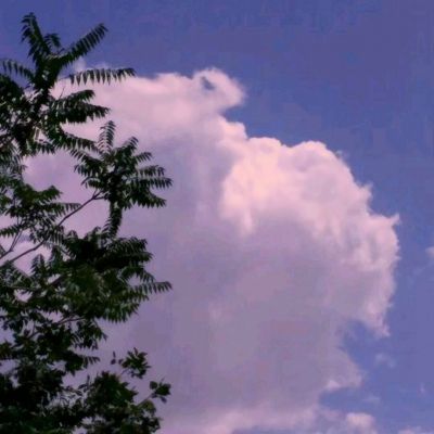 妖姬の三国幻想bt版下载
